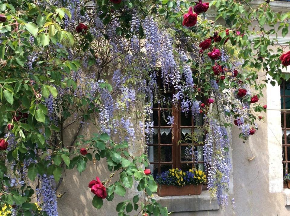 Cote Jardin Villiers-sur-Loir Exterior foto